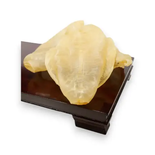 乾花膠筒（8 両）